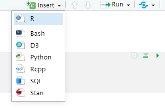 Insert R Code Chunk